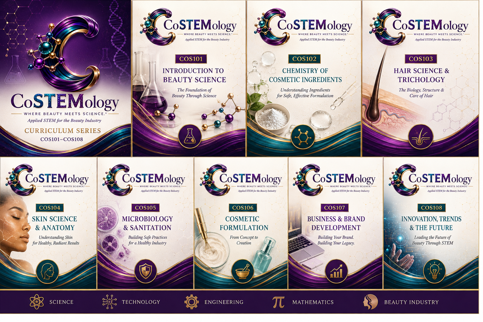 CoSTEMology curriculum course collection